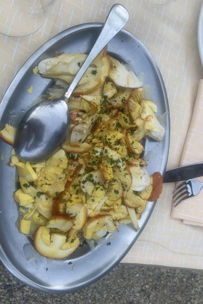 Tartare con  funghi porcini